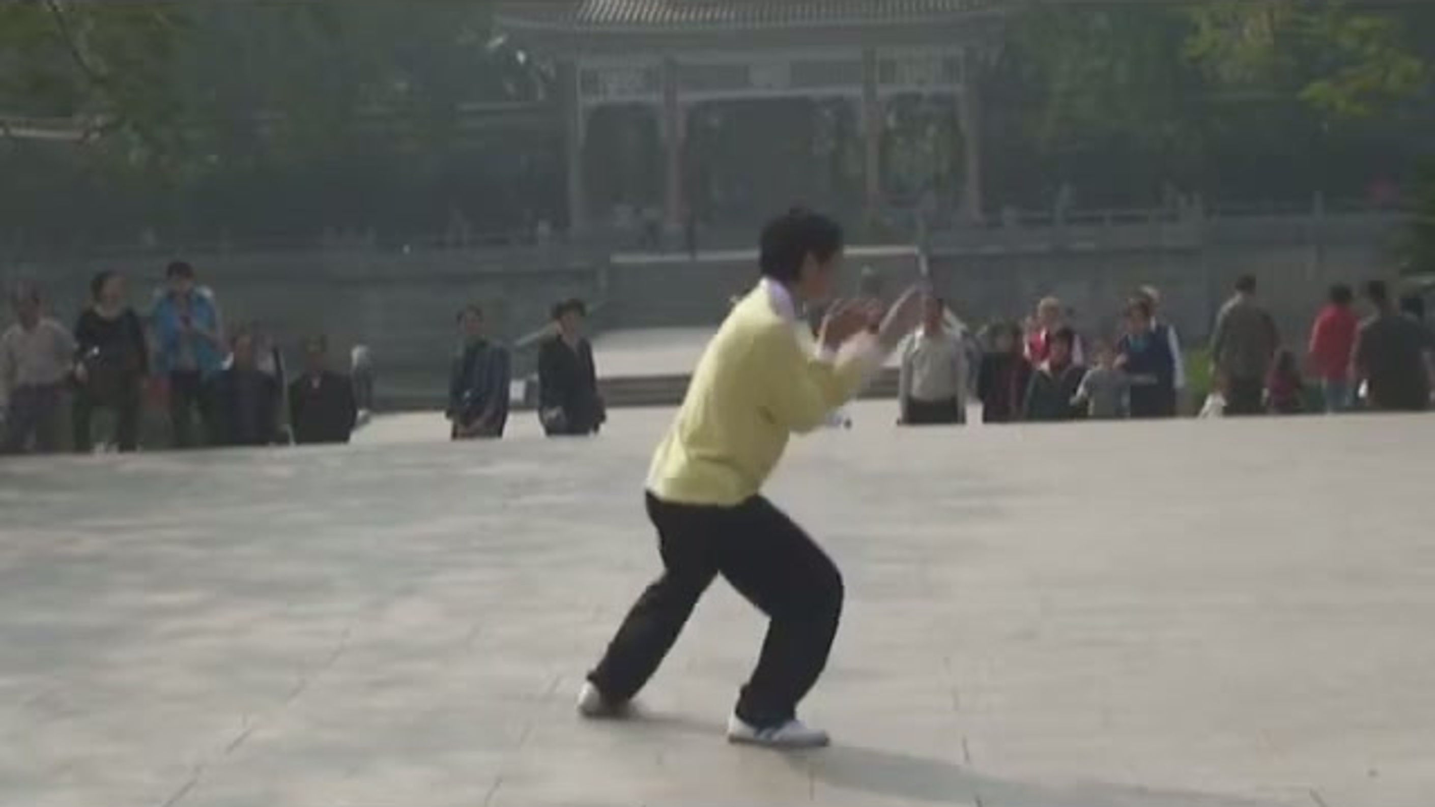 Yang & Chen Taiji-Quan / Tai-Chi videos